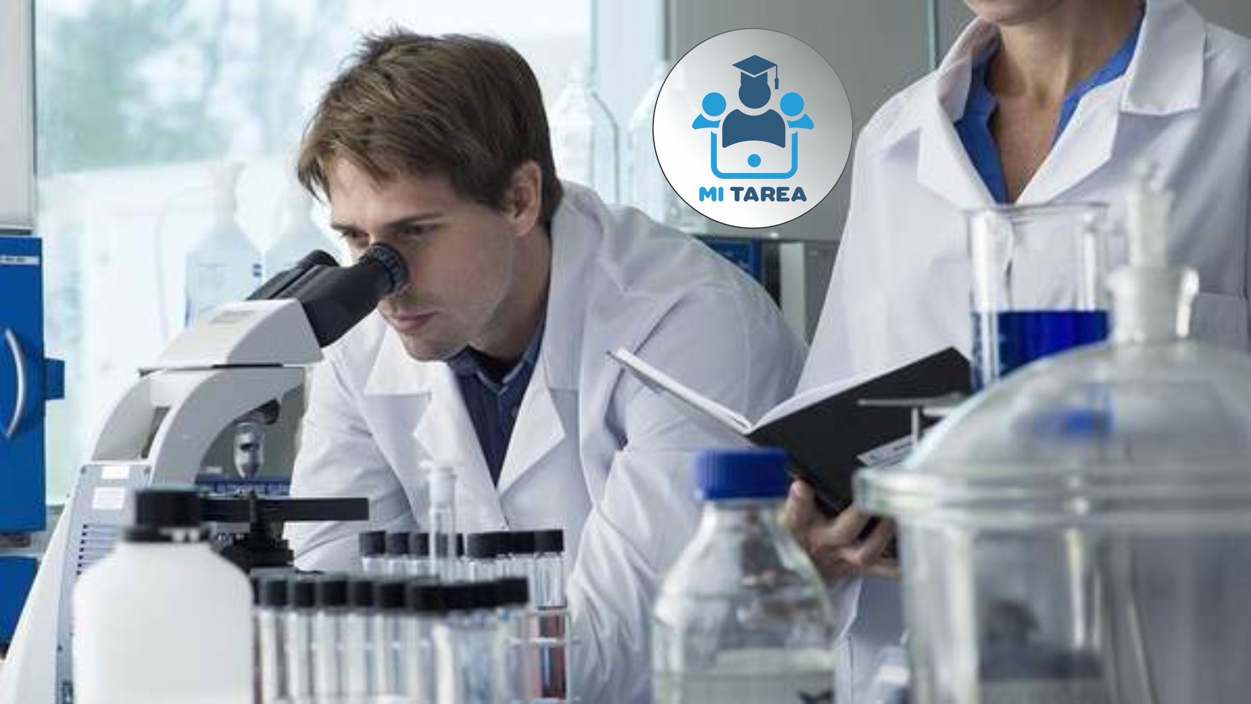 Experiencia en investigación para tu hoja de vida
